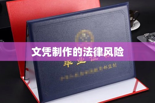 贾汪文凭制作的法律风险