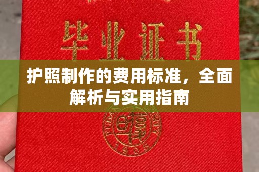 贾汪护照制作的费用标准，全面解析与实用指南